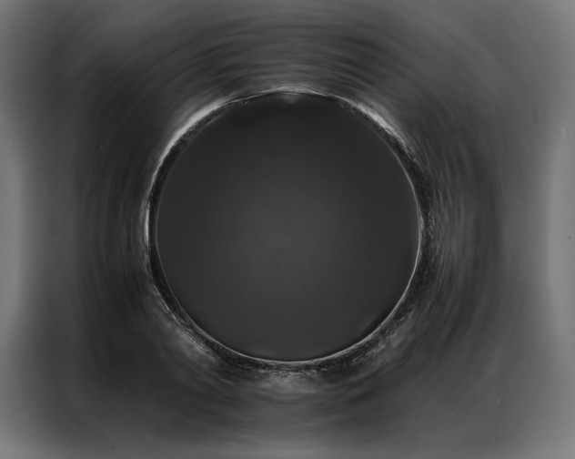 X0000087020790200704161600