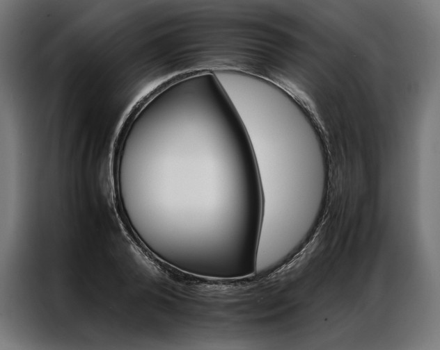 X0000087020792200704161600