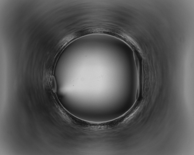 X0000087020793200704161600