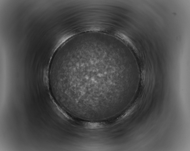 X0000087020794200704161600