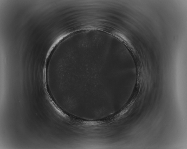X0000087020796200704161600