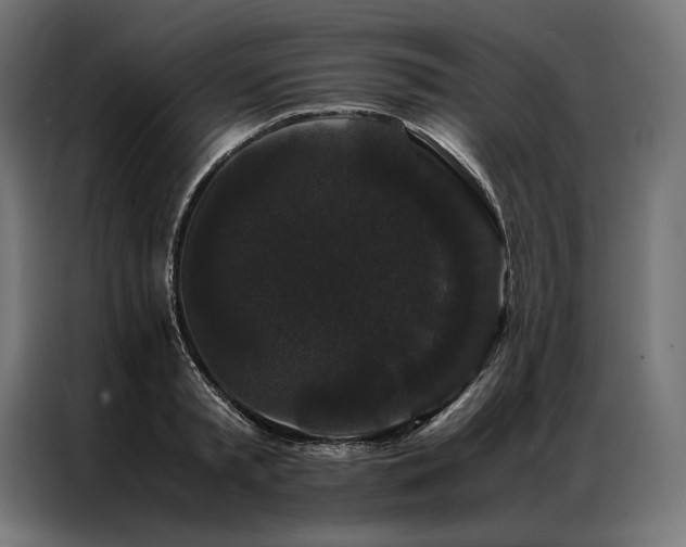 X0000087020797200704161600