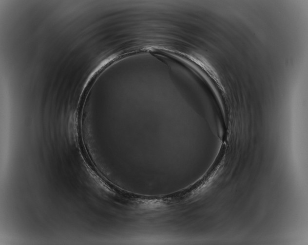 X0000087020798200704161600