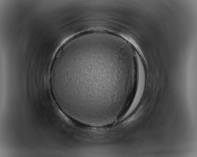 X0000087020799200704161600