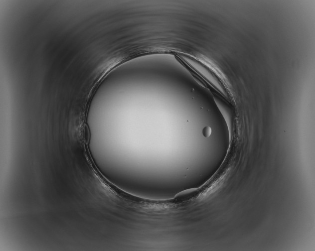 X0000087020801200704161600