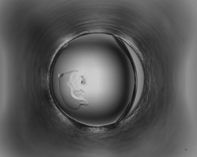 X0000087020805200704161600