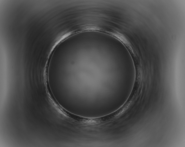 X0000087020806200704161600