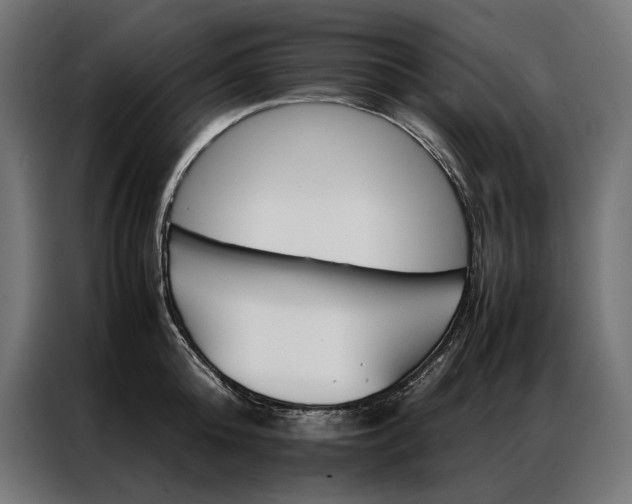 X0000087020808200704161600