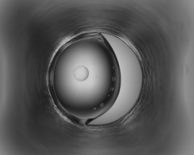X0000087020813200704161600