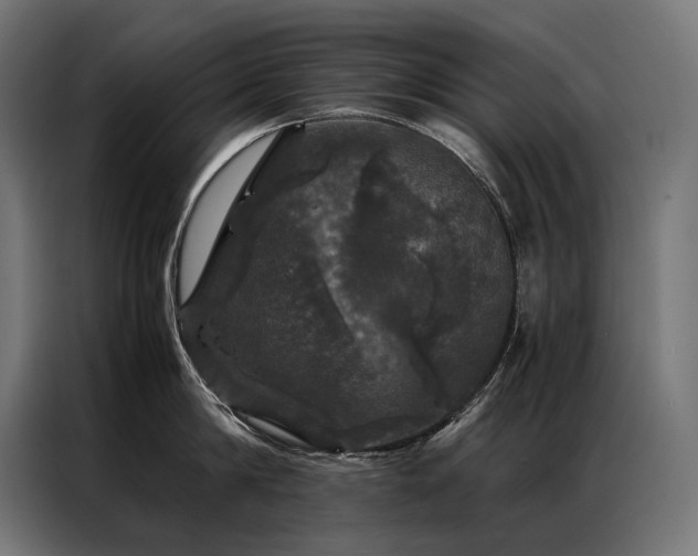 X0000087020814200704161600