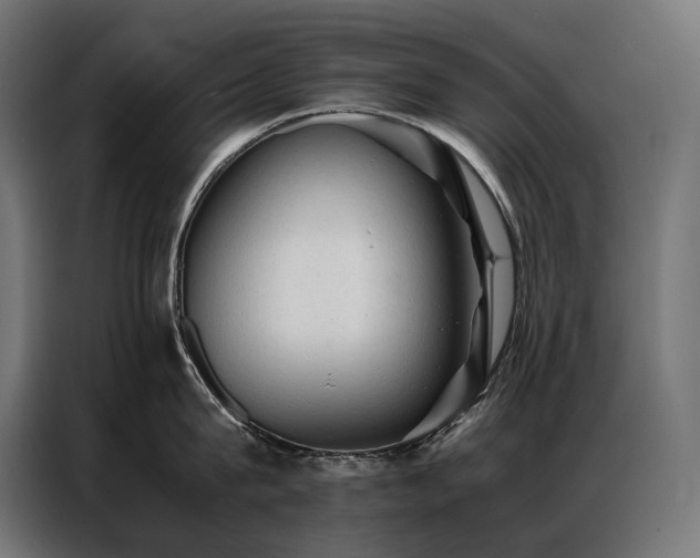 X0000087020815200704161600