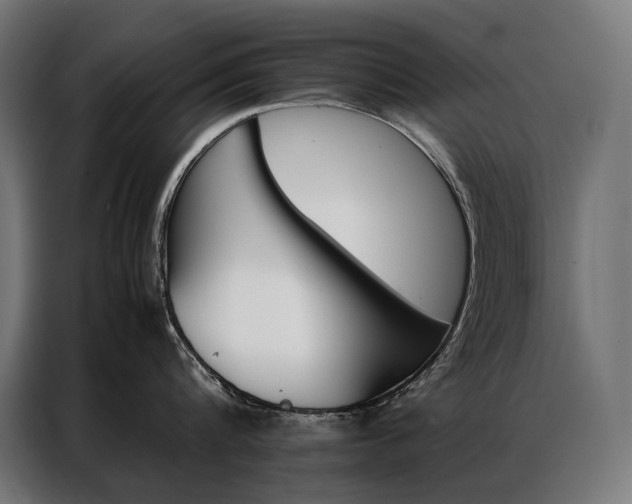 X0000087020816200704161600