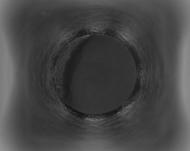 X0000087020817200704161559