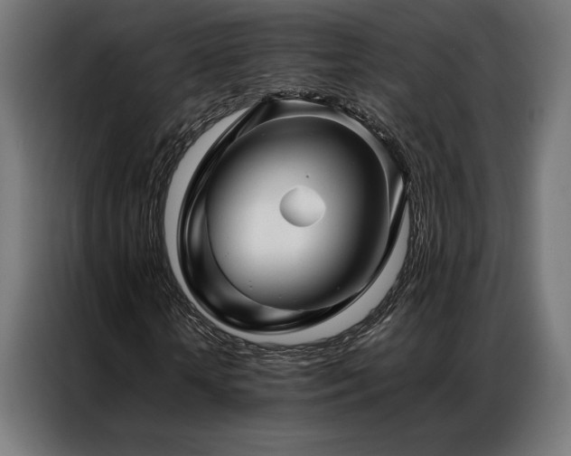 X0000087020818200704161559