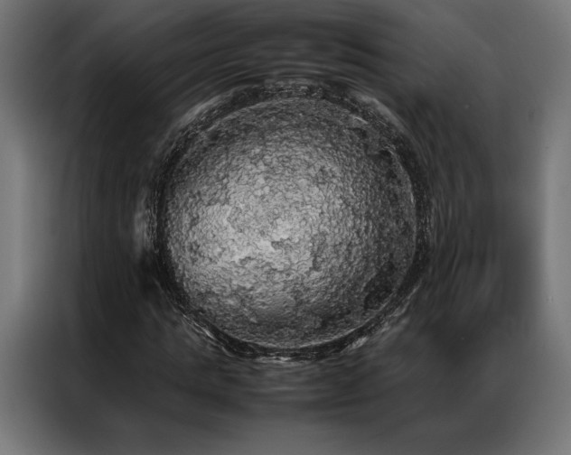X0000087020821200704161559