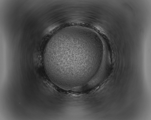 X0000087020822200704161559