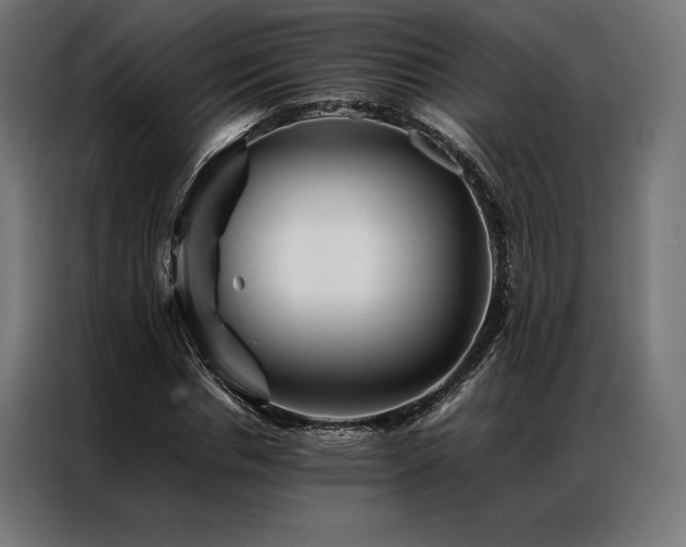 X0000087020826200704161559