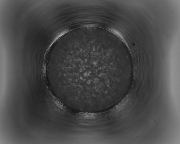 X0000087020827200704161559