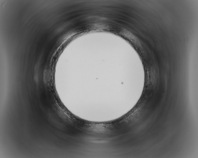 X0000087020828200704161559