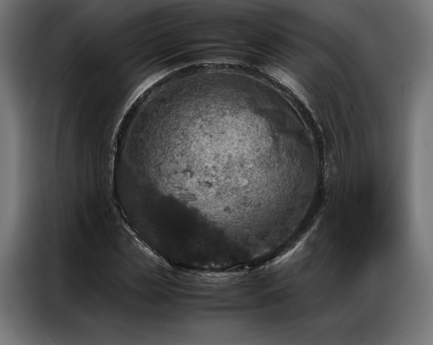 X0000087020829200704161559