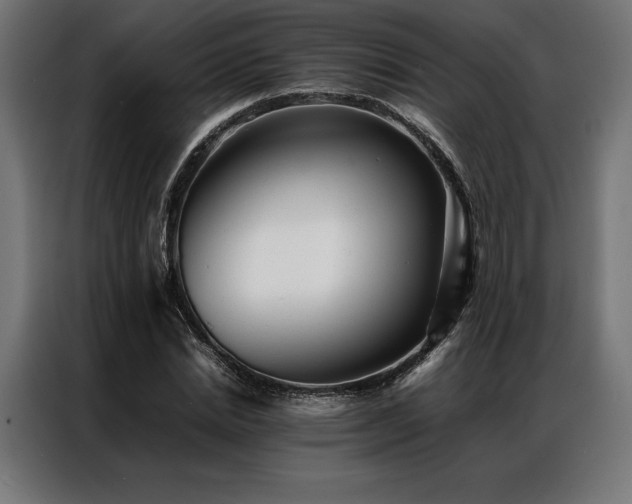 X0000087020830200704161559