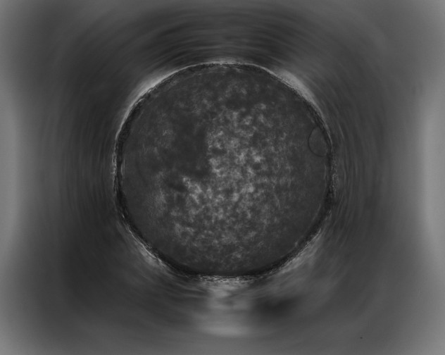 X0000087020831200704161559