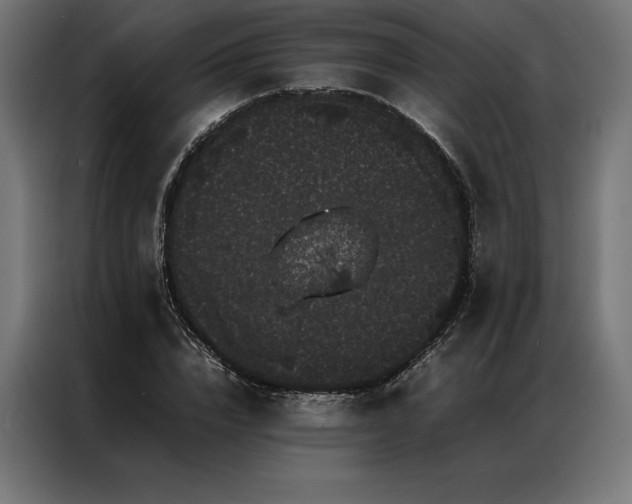 X0000087020832200704161559