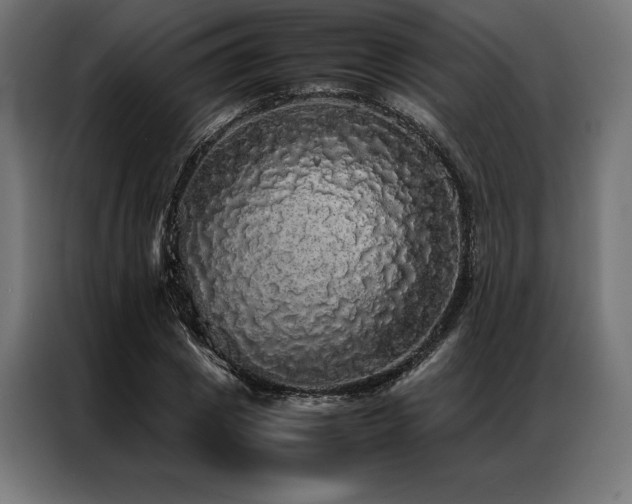 X0000087020833200704161559