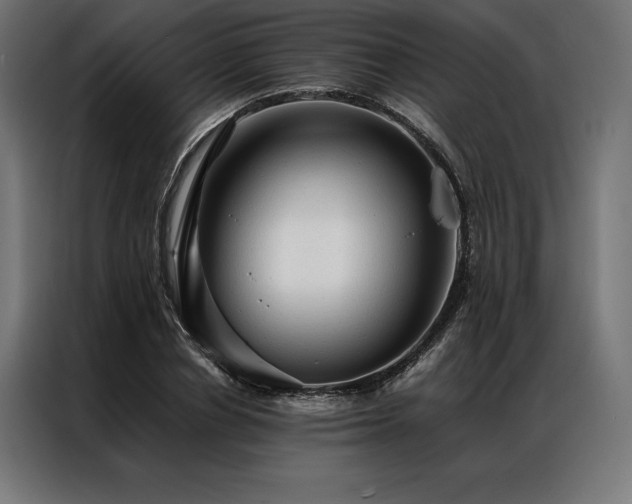 X0000087020834200704161559