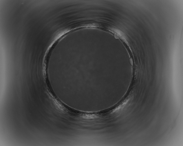 X0000087020835200704161559