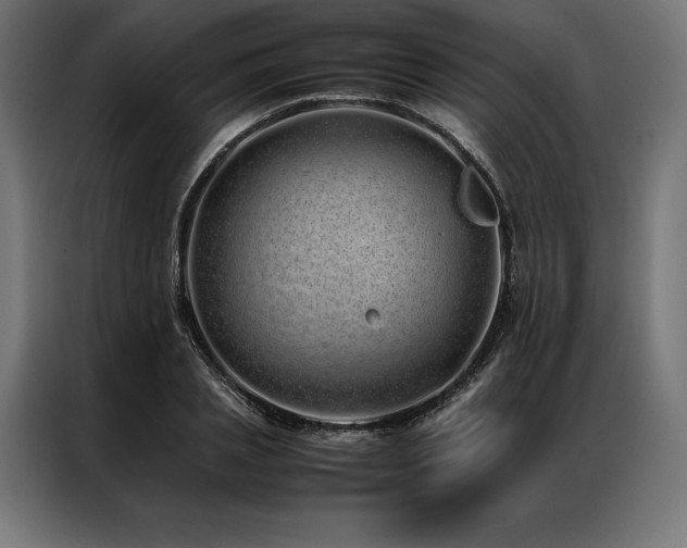 X0000087020837200704161559