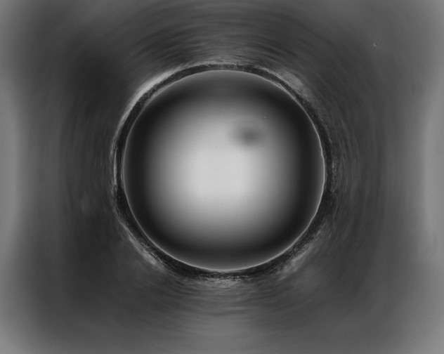 X0000087020838200704161559