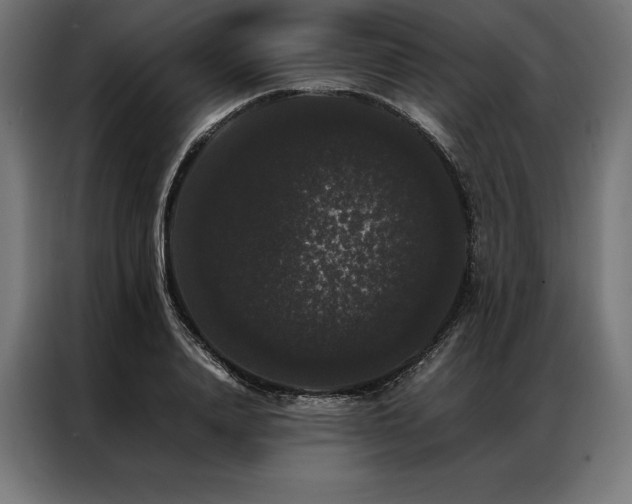 X0000087020840200704161600