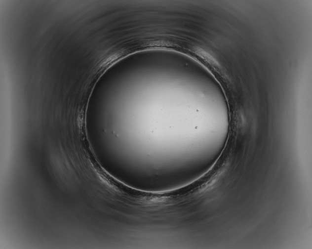 X0000087020841200704161600