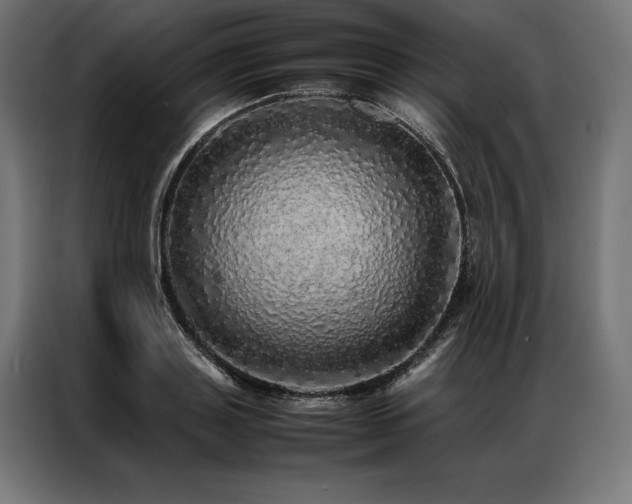 X0000087020843200704161600