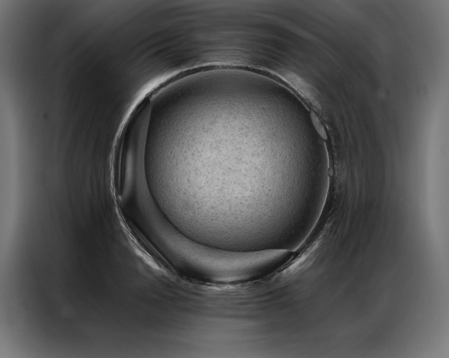 X0000087020846200704161600