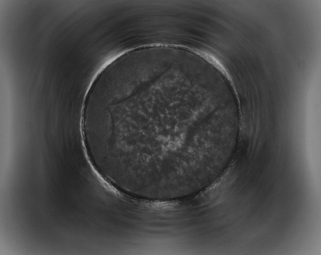 X0000087020847200704161600