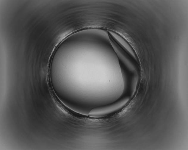 X0000087020850200704161600