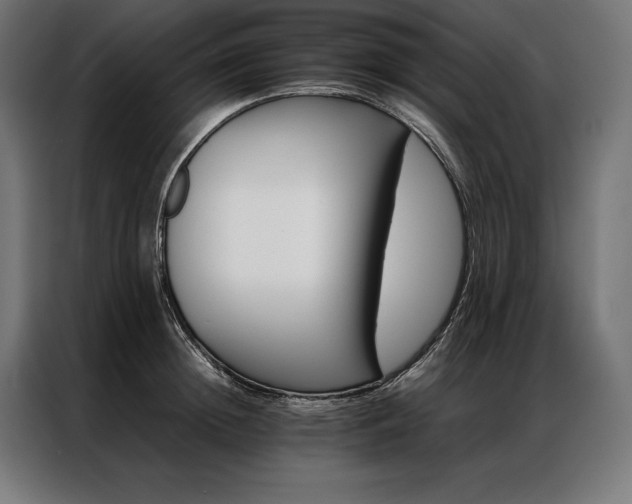X0000087020852200704161600