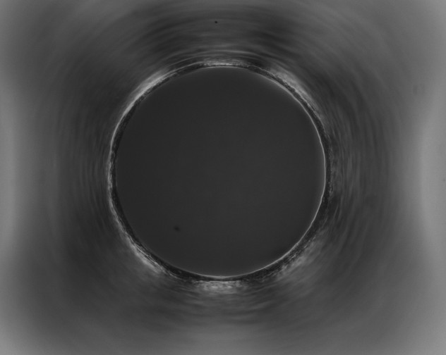 X0000087020853200704161600