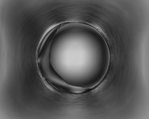 X0000087020854200704161600