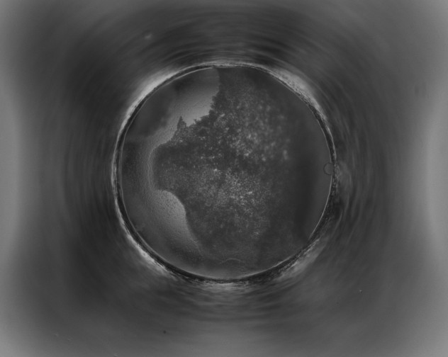 X0000087020855200704161600