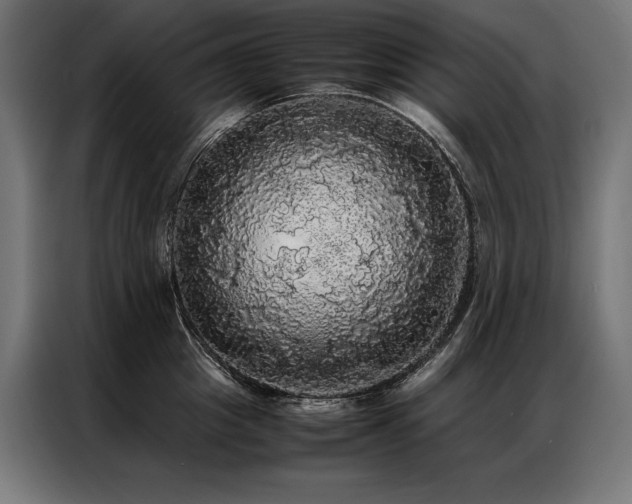 X0000087020857200704161600
