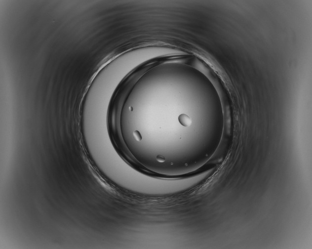 X0000087020858200704161600