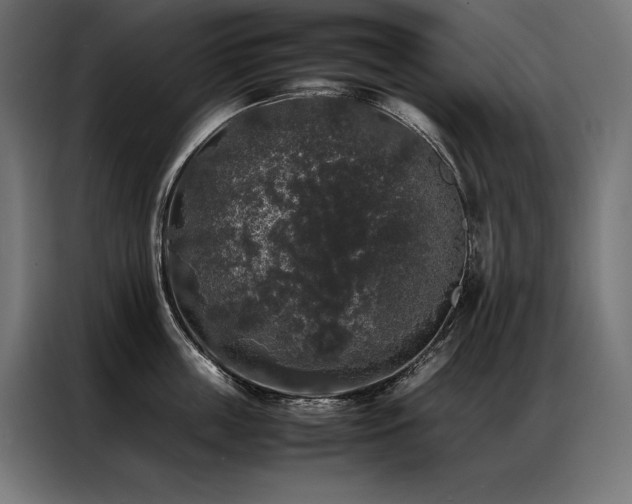 X0000087020859200704161600