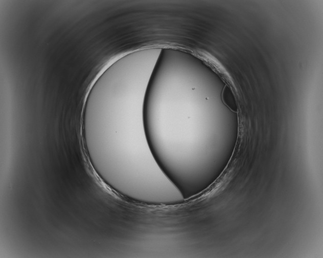 X0000087020860200704161600
