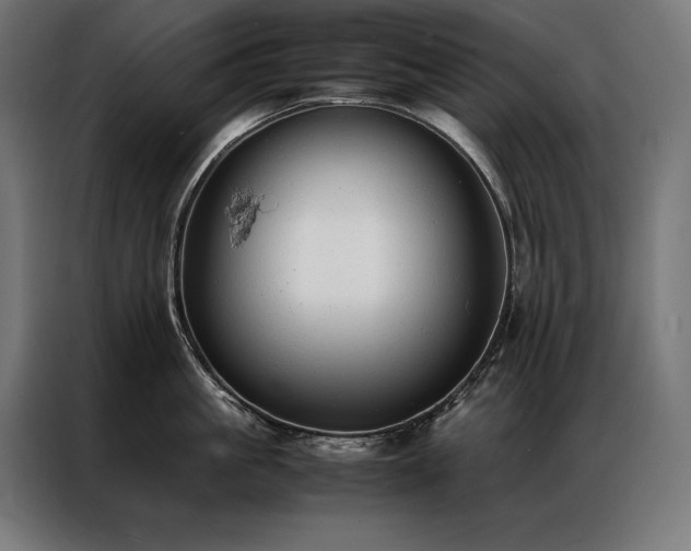 X0000087020861200704161600