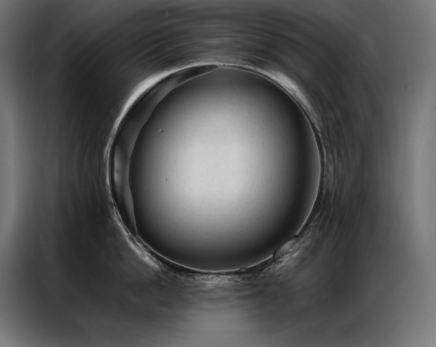 X0000087020862200704161600