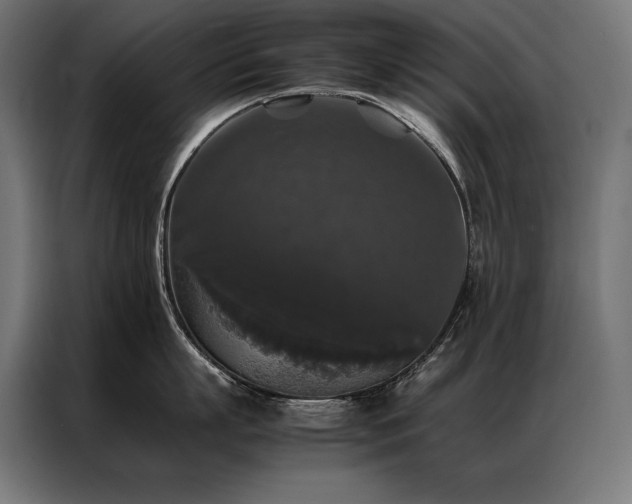 X0000087020863200704161600