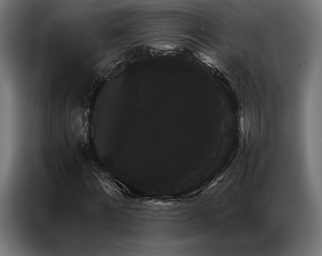 X0000087020868200704161559